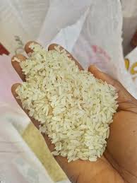 Standard Rice